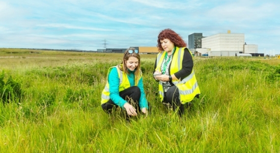 Samples being collected at NRS Dounreay